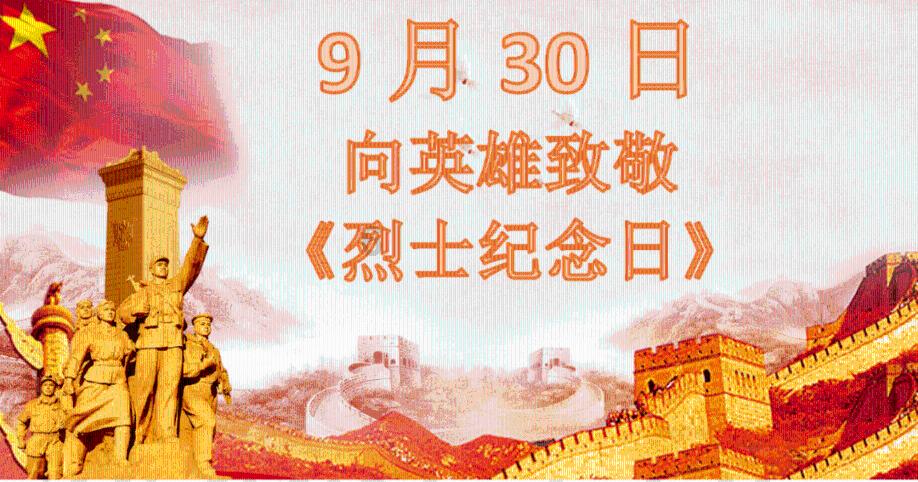 植物大战僵尸16